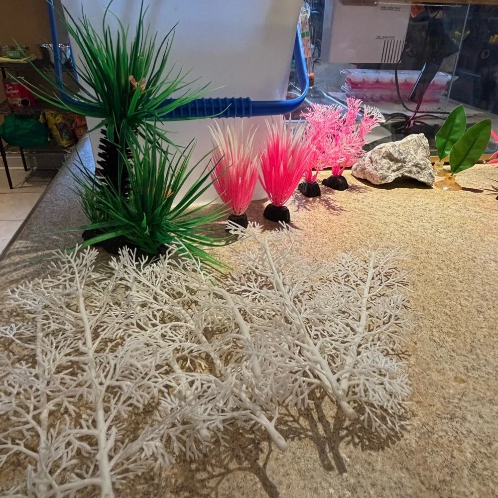 Glass Betta Fish Starting Kit - Picture 4 of 7